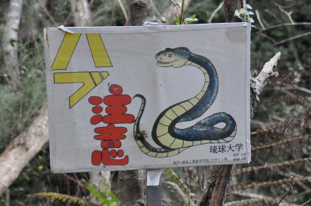 The Japanese love to cartoonify