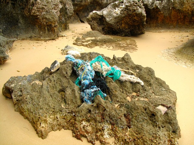 Blown up by recent typhoons