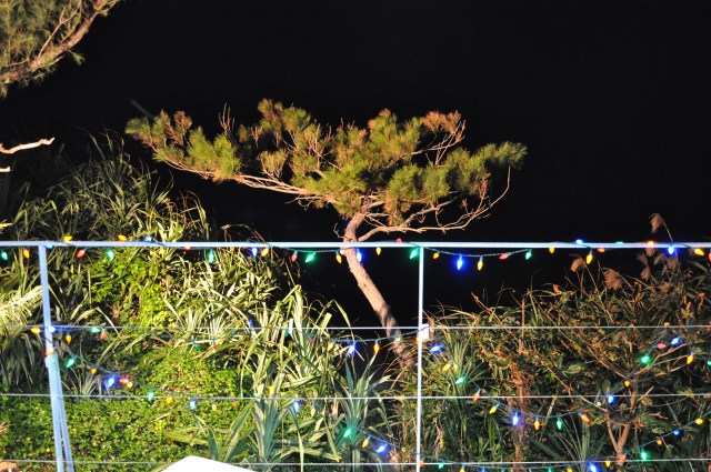 “When he shall die, Take him and cut him out in little stars, And he will make the face of heaven so fine That all the world will be in love with night And pay no worship to the garish sun.” 