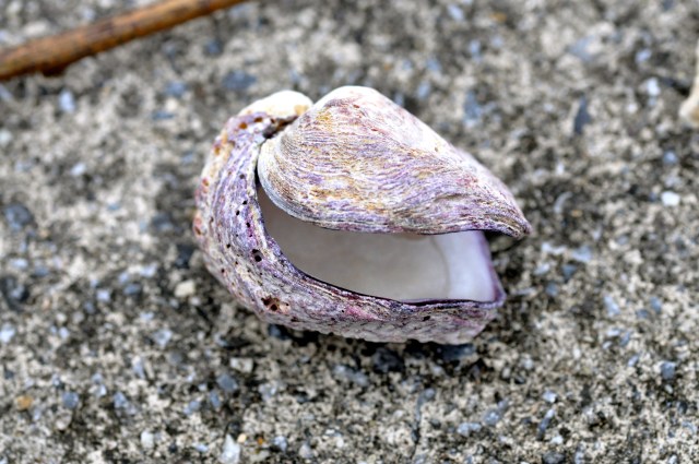 There are about a million of these at the moment