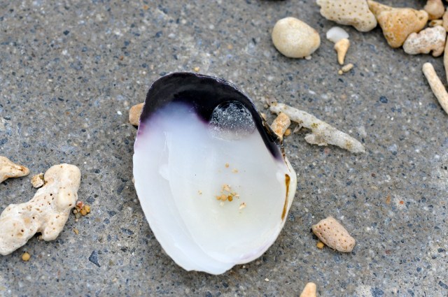 I like living on a beach