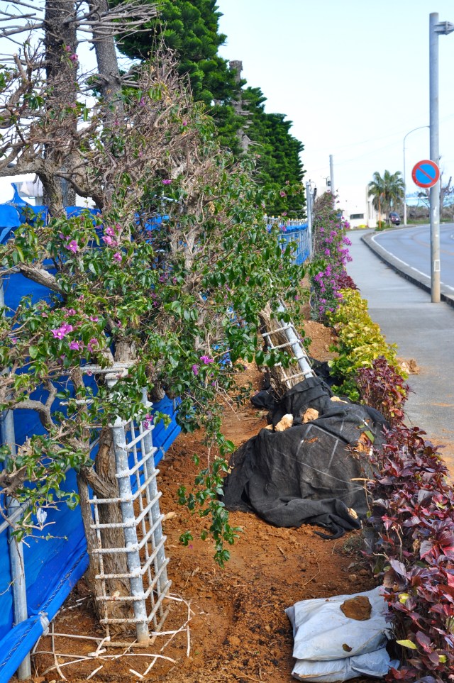 Why would you do all this work to gain one meter?