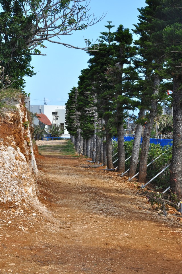 “The man who moves a mountain begins by carrying away small stones.” 