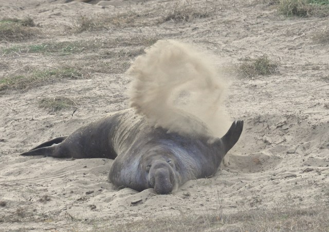 Is there any point building yet another neutrino experiment?