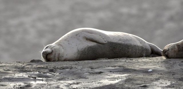 I feel like this most of the time.