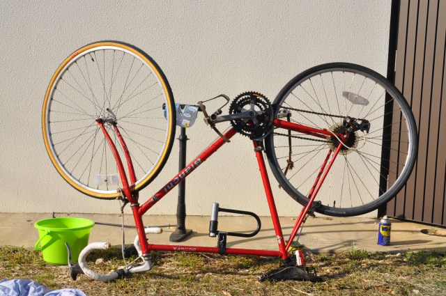 She ain't never done me no wrong