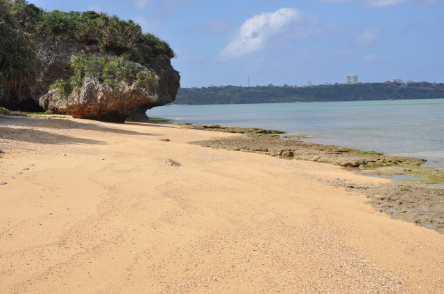 What will she be wearing in the Summer?