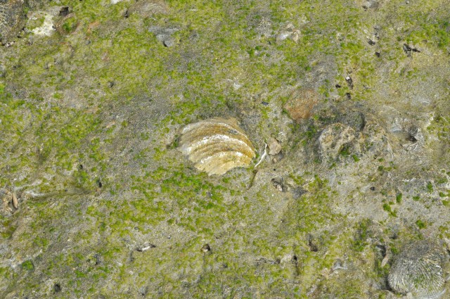 How come I never noticed?