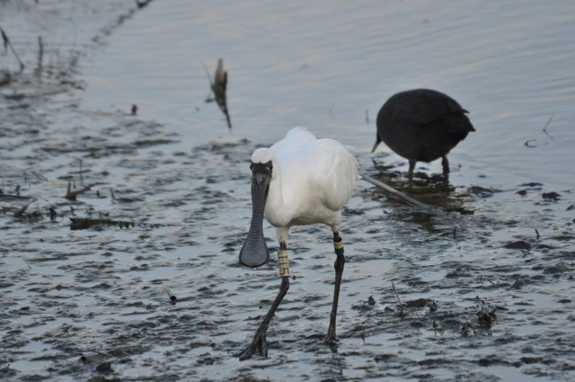 God does not like you