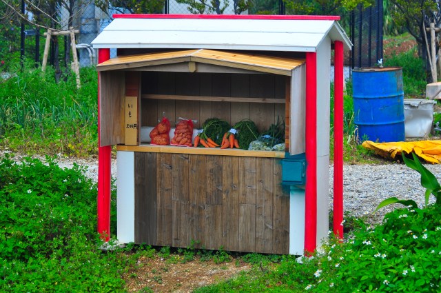 Sweet potatoes, carrots, onions.