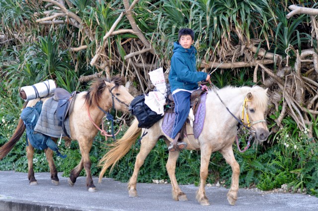 Never seen this before. Just passing by on the other side of the road