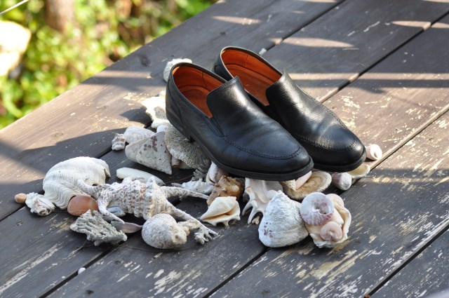 Spivvish, I wonder if this word has Yiddish origin? "The origin of the word is obscure. According to Eric Partridge[1] the word was originally racecourse slang,"