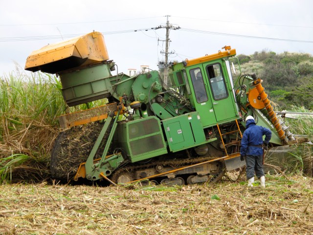 It sort of sits back when it excretes