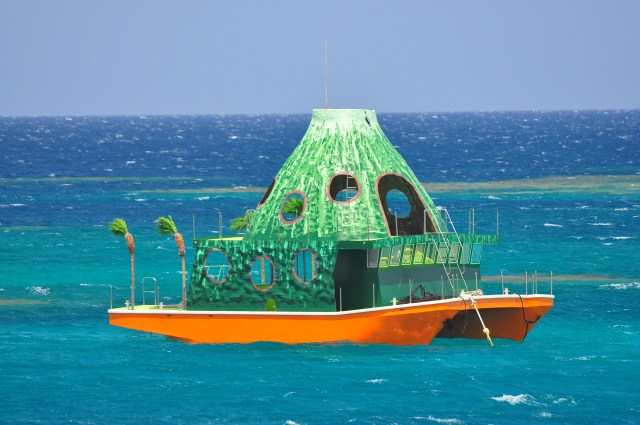 On closer inspection they are clearly floating goya.