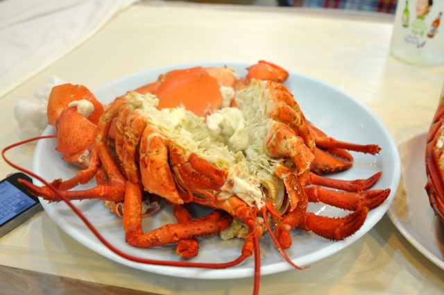 Red in tooth and claw