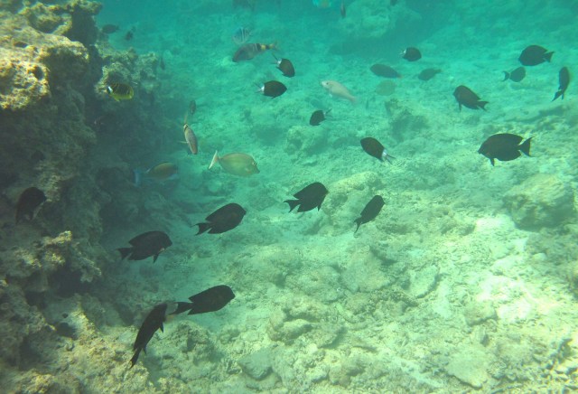 The water is warm again