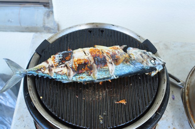 Only speaks Japanese