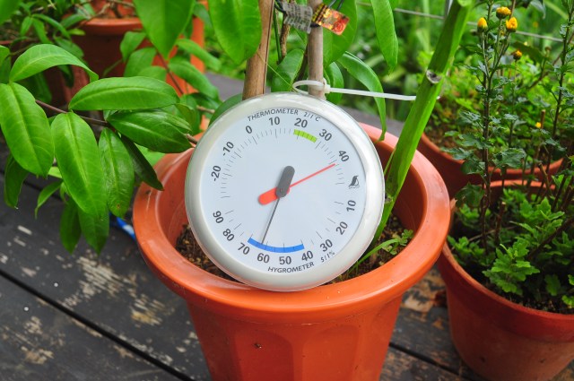 It stays like this until November