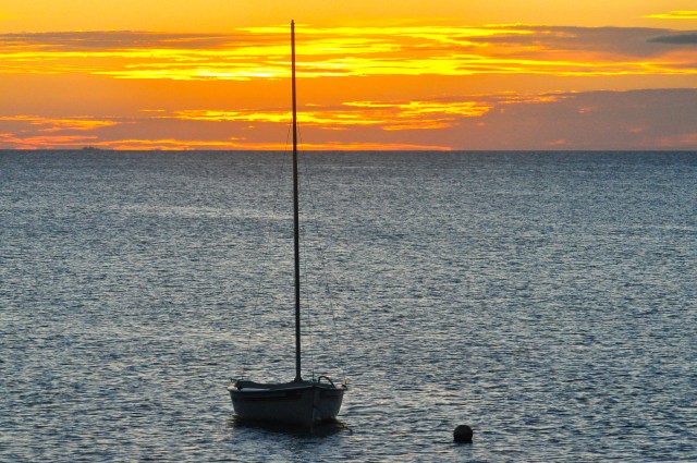 Well earned rest at the end of the day. I would like to give her some oats