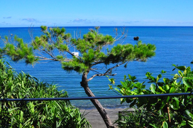 7:30 on the 15th of July. Listen to Dileas calling siren-like as I drink my coffee on the deck.