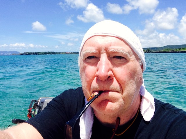 Sea West Highland Terrier