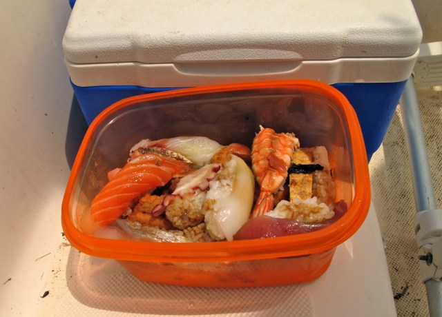 I have brought a box of nigiri, some squid and rice. It is all I will eat for 2 days.