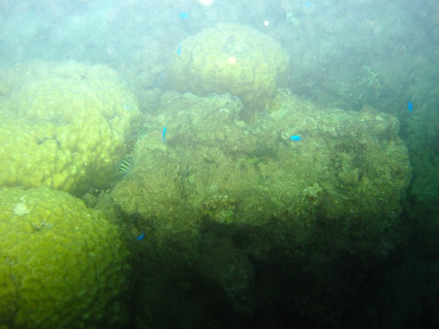 Er, 7:30 at night as the sun goes down