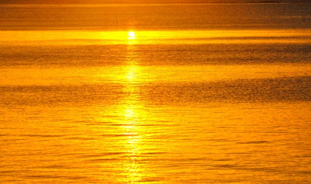 Scotland will be free