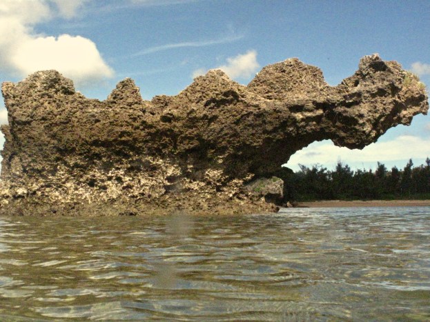 The Terns have flown