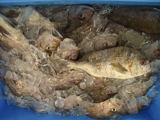 I get  a couple of these.