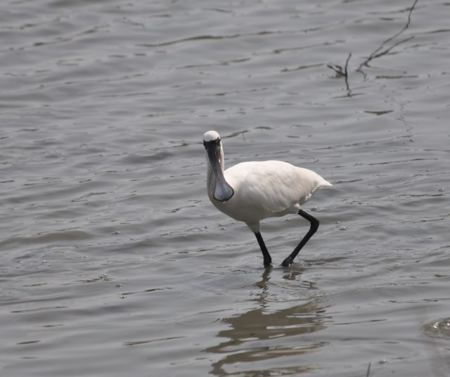 This old airport gets me down