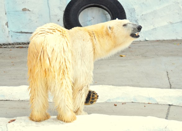 F*cking climate change!