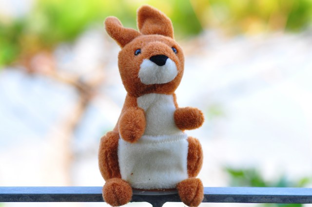 Hello everybody, my name is Buster.