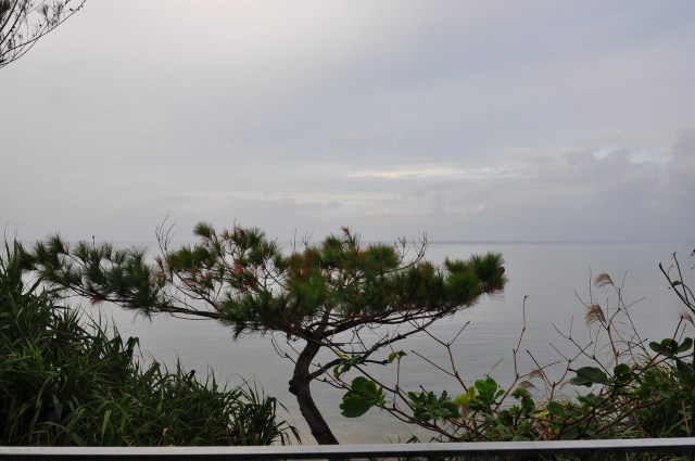 Don't take me to the ball game.