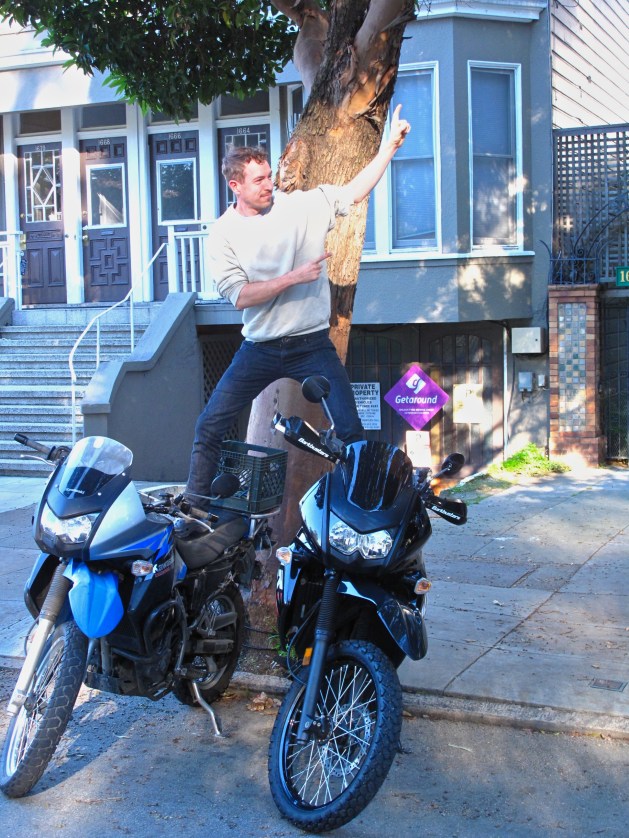 Ding dong merrily on high.