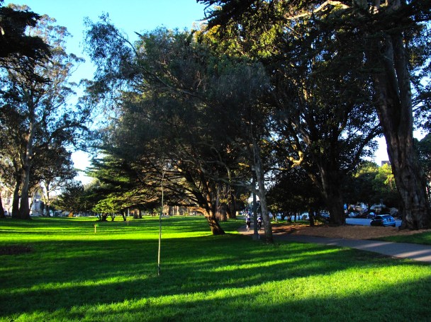 Early morning Panhandle