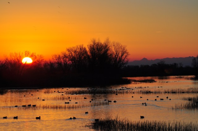 The first sun of 2015. This was beautiful stuff.