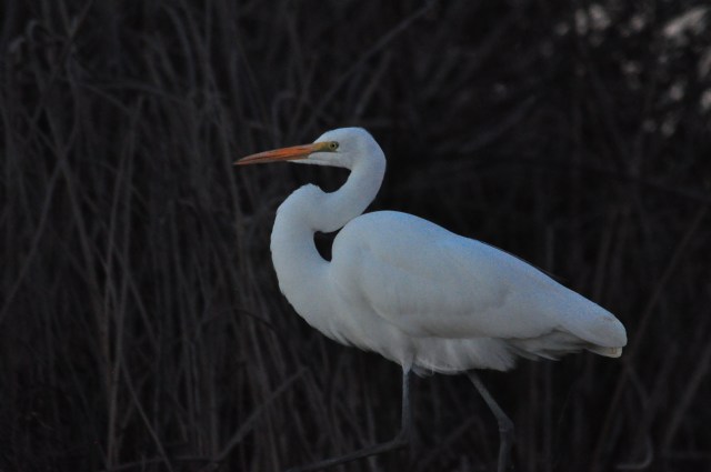 How many rivers do we have to cross?