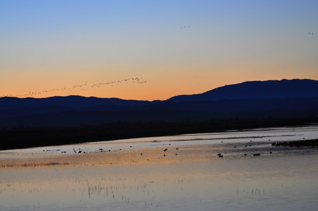 New Year's Eve party