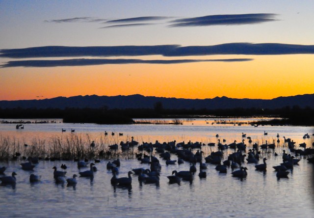 First moments of 2015