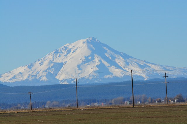 You see me here, you see me there, you see me everywhere.