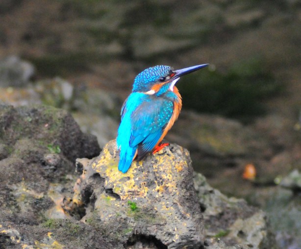 Manual focus is the new black