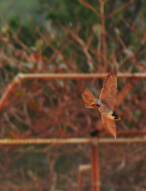 How to explain the importance of this?