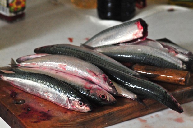 Before I eat them. Actually there was no way I could eat all of them. I think I will make an offering to Poseidon.