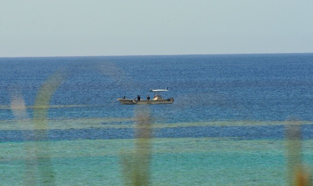 I dived, I dove? I never know which.