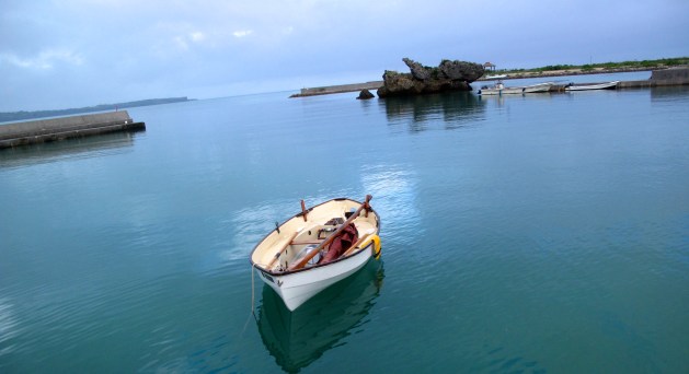 How beautiful is this?