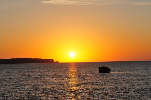 I don't like sponge cake