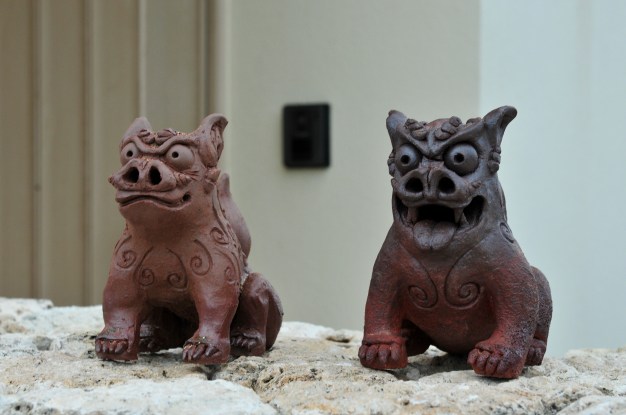 Looking at me or chewing a brick?