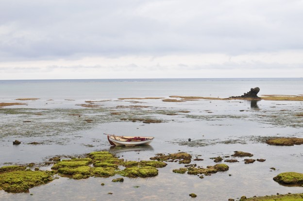 The Leader of the Pack