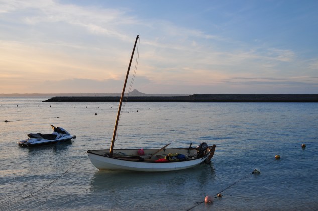 Scaffie at rest on Minna Jima